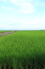東与賀町