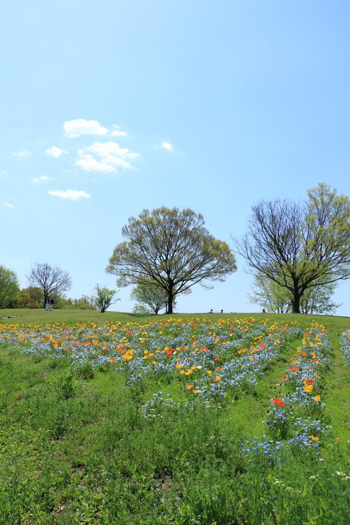 万博公園で
