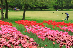 万博公園で