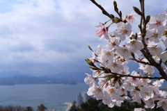 宮津
