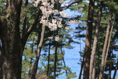 経ヶ岬