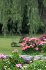 万博公園