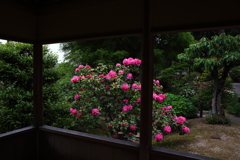 三室戸寺　