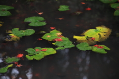万博公園
