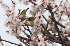 万博公園で
