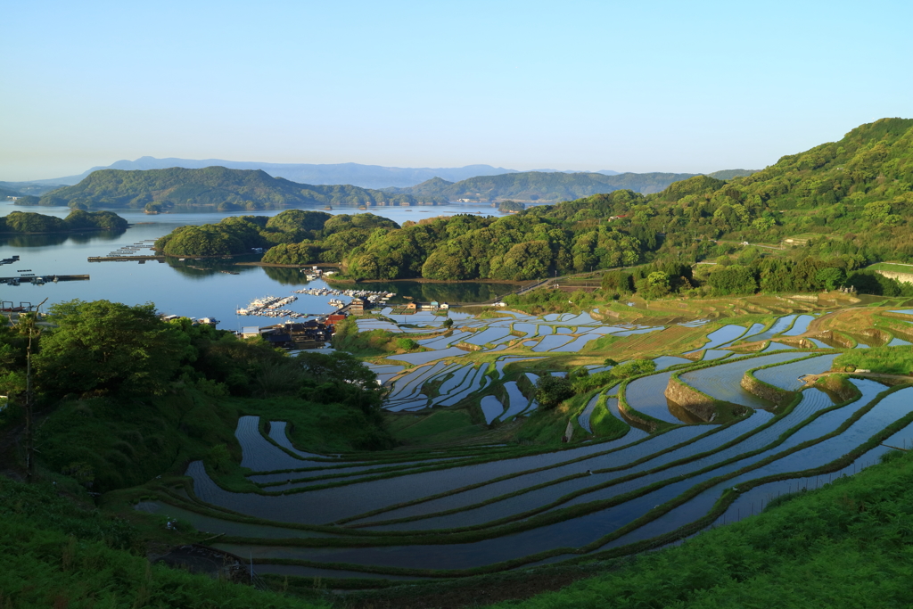 大浦の棚田