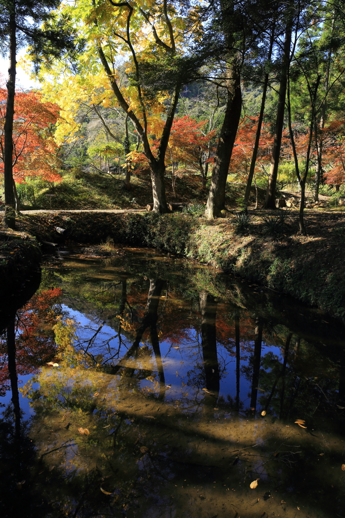 白豪寺
