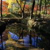 白豪寺
