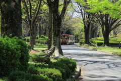 万博公園で