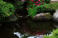 三室戸寺　