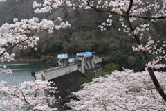 大野ダム