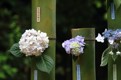 万博公園
