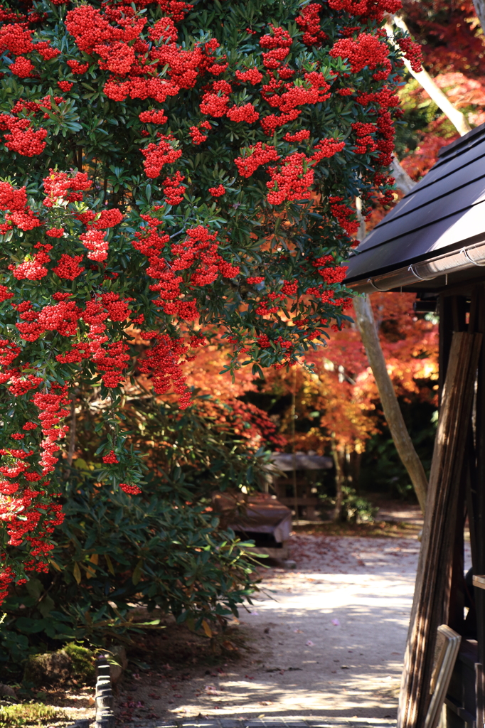 仁比山神社