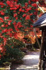 仁比山神社