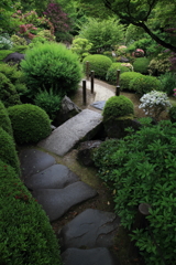 三室戸寺　