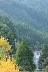 佐賀の秋