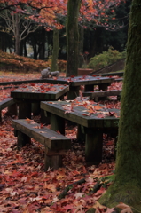 万博公園