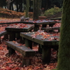 万博公園