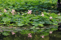 万博公園