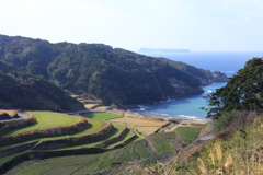 浜野浦の棚田