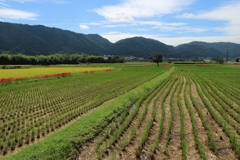 亀岡で
