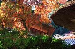 仁比山神社