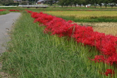 亀岡で