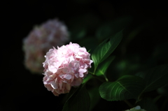  万博公園