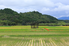 亀岡で