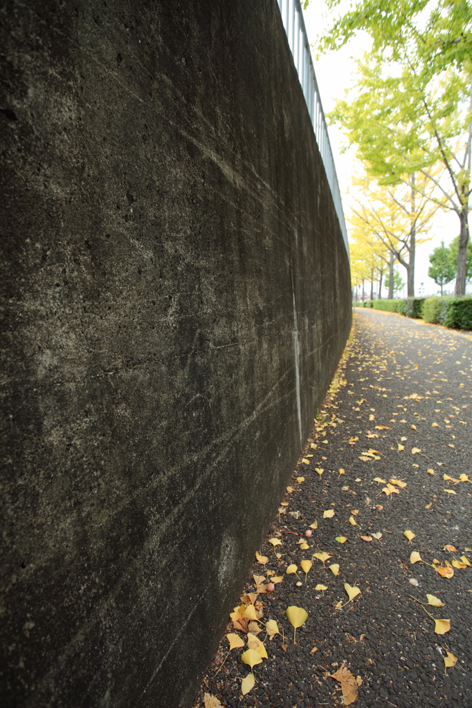 エキスポロード