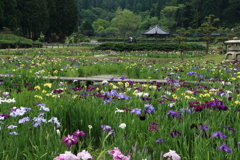 三田 永沢寺