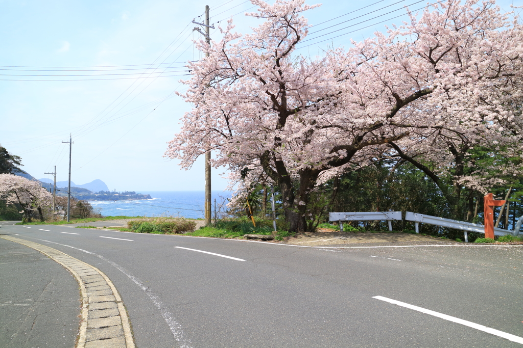 経ヶ岬