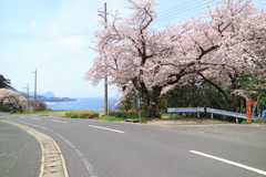 経ヶ岬