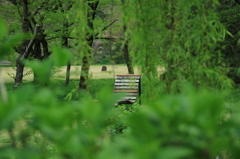 万博公園で