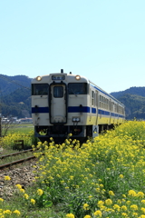春の風景
