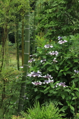 万博公園