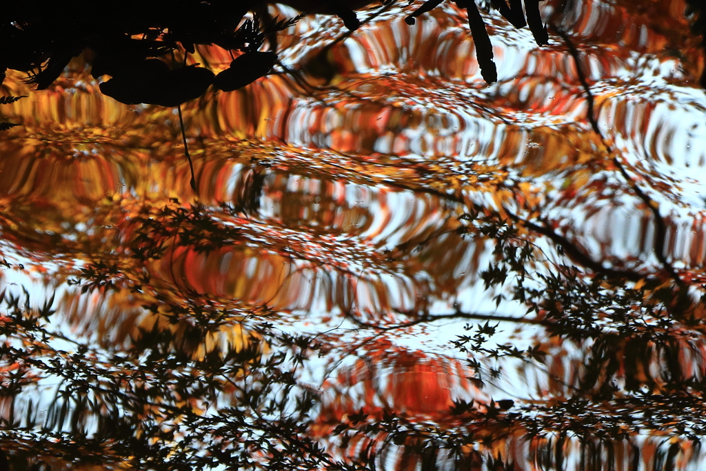 池に映った紅葉