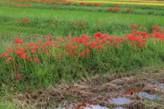 亀岡で