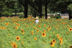 万博公園