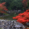 日本庭園