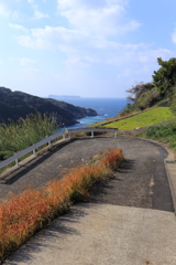 浜野浦の棚田