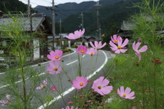 氷上町清住