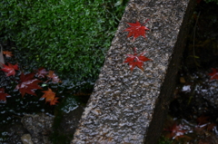 伏見稲荷