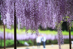 白毫寺
