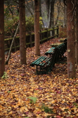 銀山湖