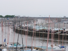 有明海