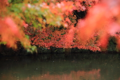 万博公園