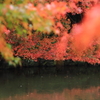 万博公園