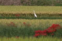 亀岡で