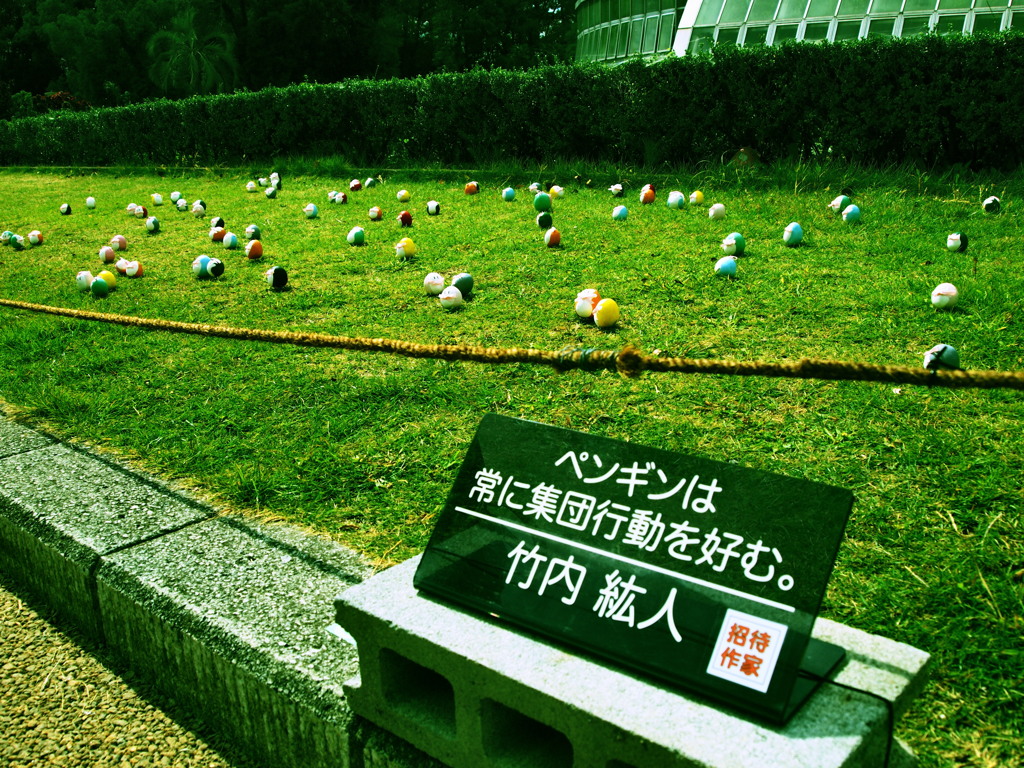 ペンギンは常に集団行動を好む。